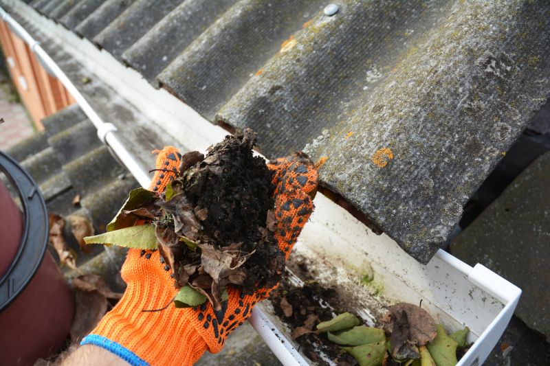 Clogged Gutter Inspection